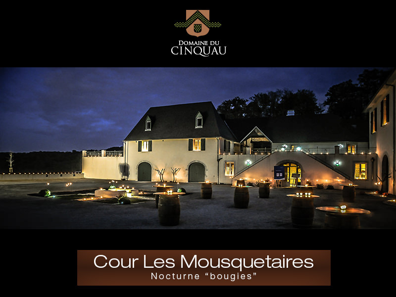 Domaine du Cinquau_64230 ARTIGUELOUVE_23